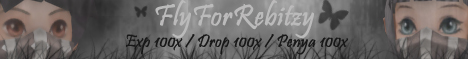 Fly For Rebitzy Banner